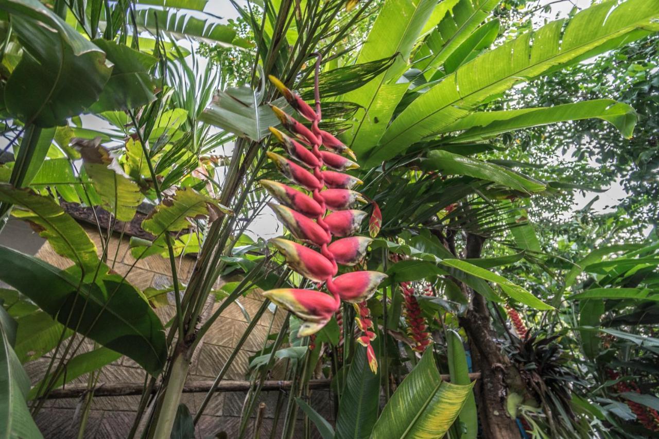 Tegar Guest House Ubud Ngoại thất bức ảnh