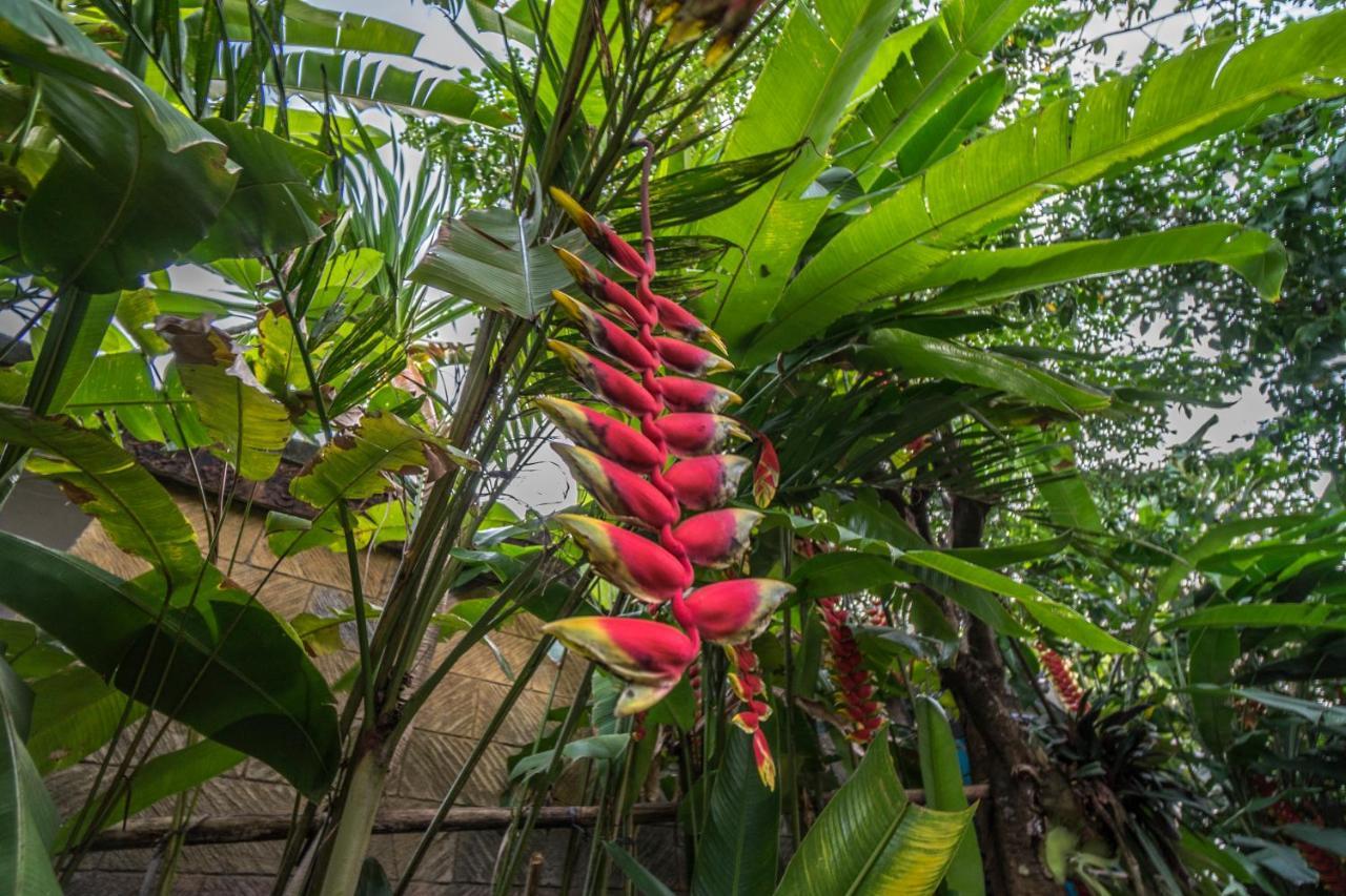 Tegar Guest House Ubud Ngoại thất bức ảnh